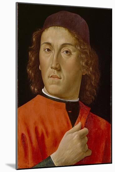 Young Man (Oil on Panel)-Domenico Ghirlandaio-Mounted Giclee Print