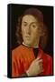 Young Man (Oil on Panel)-Domenico Ghirlandaio-Framed Stretched Canvas