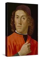 Young Man (Oil on Panel)-Domenico Ghirlandaio-Stretched Canvas