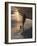 Young Man Playing Football at Sandbeach in Twilight, Santa Maria, Sal, Cape Verde, Africa-Michael Runkel-Framed Photographic Print