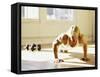 Young Man Preforming Push Up Exercise in Gym, New York, New York, USA-Chris Trotman-Framed Stretched Canvas