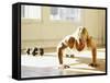 Young Man Preforming Push Up Exercise in Gym, New York, New York, USA-Chris Trotman-Framed Stretched Canvas