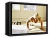 Young Man Preforming Push Up Exercise in Gym, New York, New York, USA-Chris Trotman-Framed Stretched Canvas