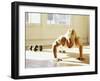 Young Man Preforming Push Up Exercise in Gym, New York, New York, USA-Chris Trotman-Framed Photographic Print