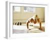 Young Man Preforming Push Up Exercise in Gym, New York, New York, USA-Chris Trotman-Framed Photographic Print