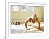 Young Man Preforming Push Up Exercise in Gym, New York, New York, USA-Chris Trotman-Framed Photographic Print