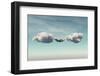 Young Man Relaxes in a Hammock between Two Clouds.-Orla-Framed Photographic Print
