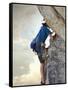 Young man rock climbing up a vertical cliff-null-Framed Stretched Canvas