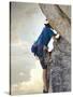 Young man rock climbing up a vertical cliff-null-Stretched Canvas