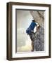 Young man rock climbing up a vertical cliff-null-Framed Photographic Print