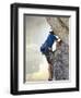 Young man rock climbing up a vertical cliff-null-Framed Photographic Print