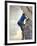 Young man rock climbing up a vertical cliff-null-Framed Photographic Print