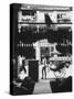 Young Man Standing in Front of a Herbs and Fish Market Displaying Racks of Fish-Howard Sochurek-Stretched Canvas