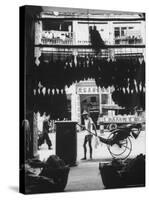 Young Man Standing in Front of a Herbs and Fish Market Displaying Racks of Fish-Howard Sochurek-Stretched Canvas