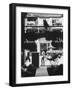 Young Man Standing in Front of a Herbs and Fish Market Displaying Racks of Fish-Howard Sochurek-Framed Photographic Print