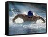 Young Man Swimming the Butterfly Stroke-null-Framed Stretched Canvas