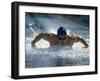 Young Man Swimming the Butterfly Stroke-null-Framed Premium Photographic Print