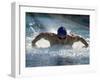 Young Man Swimming the Butterfly Stroke-null-Framed Photographic Print