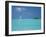 Young Man Windsurfing Near Tropical Island and Lagoon in the Maldives, Indian Ocean-Sakis Papadopoulos-Framed Photographic Print