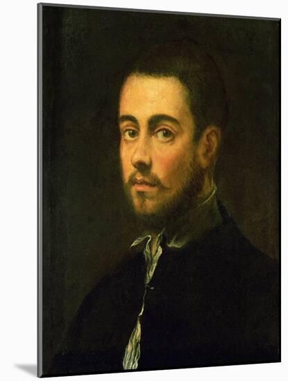 Young Man with Beard, 1548-Jacopo Robusti Tintoretto-Mounted Giclee Print