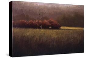 Young Maples-Simon Winegar-Stretched Canvas