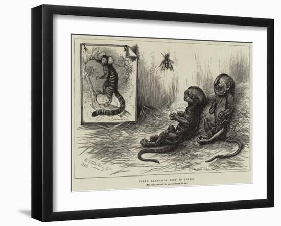 Young Marmozets Born in London-null-Framed Giclee Print