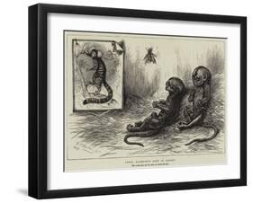 Young Marmozets Born in London-null-Framed Giclee Print