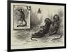 Young Marmozets Born in London-null-Framed Giclee Print