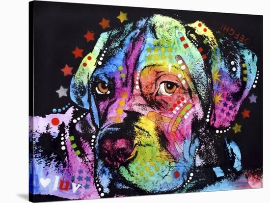 Young Mastiff-Dean Russo-Stretched Canvas