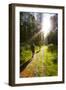 Young Men Hiking on an Outdoor Adventure Trail, the Chilterns, Buckinghamshire, England-Charlie Harding-Framed Photographic Print