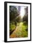 Young Men Hiking on an Outdoor Adventure Trail, the Chilterns, Buckinghamshire, England-Charlie Harding-Framed Photographic Print