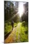 Young Men Hiking on an Outdoor Adventure Trail, the Chilterns, Buckinghamshire, England-Charlie Harding-Mounted Photographic Print