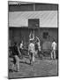 Young Men Playing Basketball with a Homemade Basket in a Farmyard-null-Mounted Photographic Print