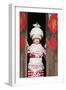 Young Miao Woman Wearing Traditional Costumes and Silver Jewellery, Guizhou, China-Nadia Isakova-Framed Premium Photographic Print