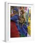 Young Monkey Sitting on Prayer Flags Tied on a Pole, Darjeeling, India-Eitan Simanor-Framed Photographic Print