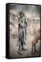 Young Mundari Herder-Trevor Cole-Framed Stretched Canvas