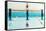 Young Muscular Swimmer Jumping from Starting Block in a Swimming Pool-NejroN Photo-Framed Stretched Canvas