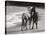 Young Mustangs on Beach-Traer Scott-Stretched Canvas