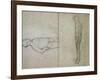 Young Nude, circa 1896-Amedeo Modigliani-Framed Giclee Print