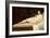 Young Nude Reclining-Jules Joseph Lefebvre-Framed Giclee Print