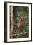 Young Orangutan in the Trees-DLILLC-Framed Premium Photographic Print