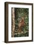 Young Orangutan in the Trees-DLILLC-Framed Photographic Print