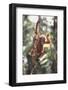 Young Orangutan in the Trees-DLILLC-Framed Photographic Print