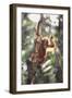 Young Orangutan in the Trees-DLILLC-Framed Photographic Print