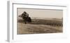 Young Orchard, Palermo, Butte County, California, 1888-1891-Carleton Watkins-Framed Art Print