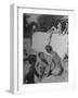 Young People Enjoying the Swimming Pool at Home of Herbert Stothart-Nina Leen-Framed Photographic Print