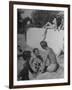 Young People Enjoying the Swimming Pool at Home of Herbert Stothart-Nina Leen-Framed Photographic Print