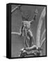 Young Perseus Holding the Decapitated Gorgon Head of Medusa, Standing over Her Body-Carl Mydans-Framed Stretched Canvas