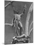 Young Perseus Holding the Decapitated Gorgon Head of Medusa, Standing over Her Body-Carl Mydans-Mounted Photographic Print