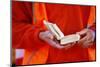 Young pilgrim reading the Bible, World Youth Day, Sydney, New South Wales, Australia, Pacific-Godong-Mounted Photographic Print